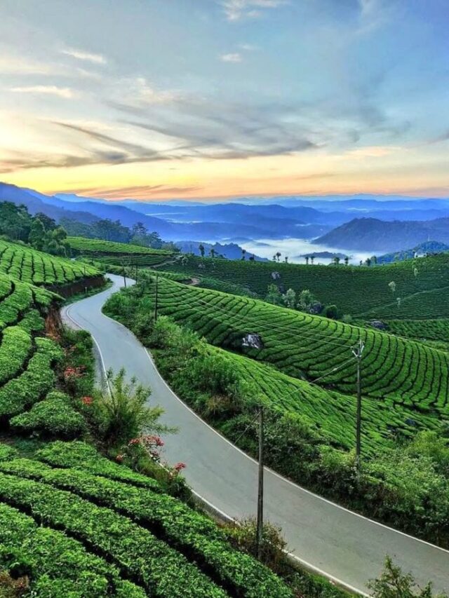 Best Hill Stations to Beat the Heat in India
