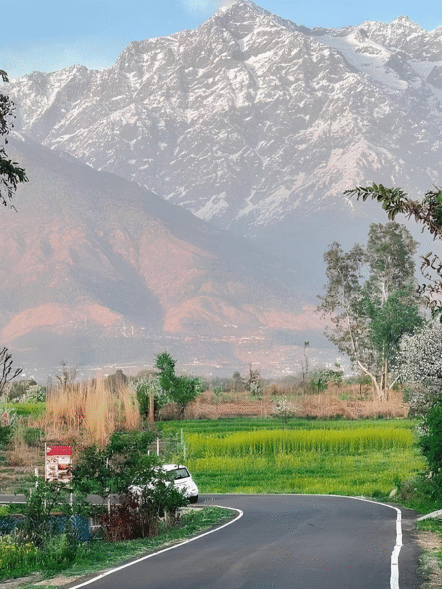 Peaceful Retrats in the Mountains for Digital Detox